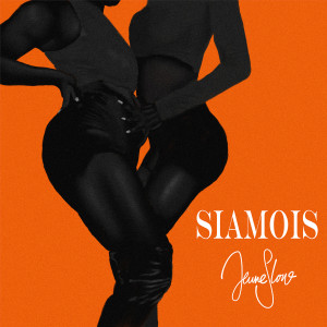 Album Siamois (Explicit) from Jeune Slow