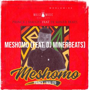 Listen to Meshomo song with lyrics from prince j malizo