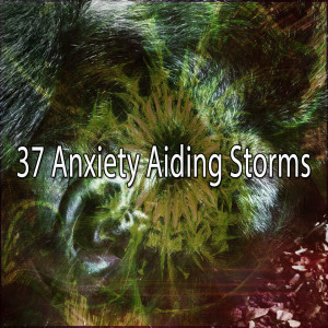 37 Anxiety Aiding Storms