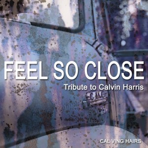 อัลบัม Feel So Close (tribute To Calvin Harris) ศิลปิน Cal Ving Hairs