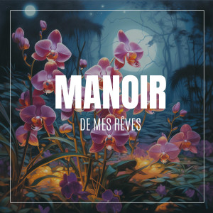 Various的专辑Manoir de mes rêves