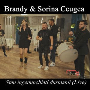 อัลบัม Stau ingenunchiati dusmanii (Live) ศิลปิน Brandy