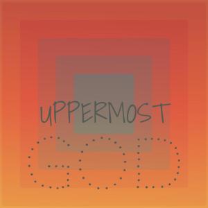 ดาวน์โหลดและฟังเพลง Opossum Pavement พร้อมเนื้อเพลงจาก Shange Tere