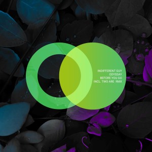 Listen to Before You Go (Two Are Remix) song with lyrics from Indifferent Guy