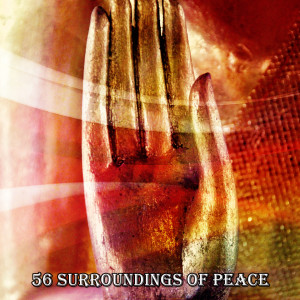 Music for Reading的專輯56 Surroundings Of Peace