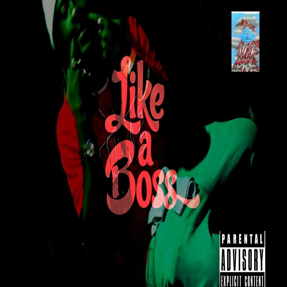 Like A Boss (Explicit)