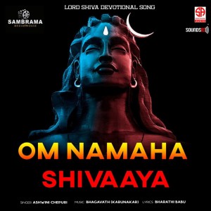 Album Om Namaha Shivaaya from Ashwini Chepuri