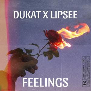 Dukat的專輯FEELINGS<3 (feat. Lil lipsee) [Explicit]
