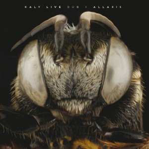 Listen to Pack Ice song with lyrics from Kaly Live Dub