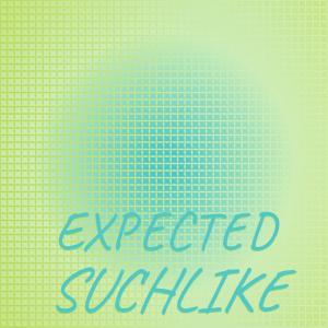 Album Expected Suchlike oleh Various