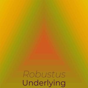 Robustus Underlying dari Various Artists