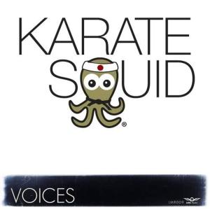 ดาวน์โหลดและฟังเพลง Voices (Radio Edit) พร้อมเนื้อเพลงจาก Karate Squid