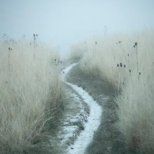 ดาวน์โหลดและฟังเพลง Keep On พร้อมเนื้อเพลงจาก Relaxing Music
