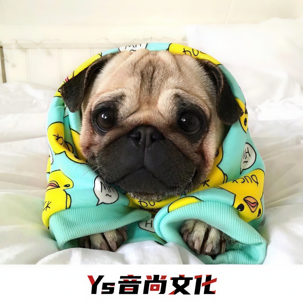 深渊谷底 (抖音DJ完整原版)