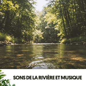 Rivers and Streams的專輯Sons de la Rivière et Musique: Mélodies du Flow