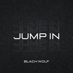 Album Jump In from Black Wolf