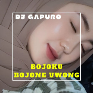 Dengarkan Bojoku Bojone Uwong lagu dari DJ GAPURO dengan lirik
