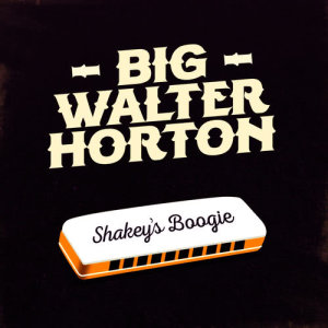 ดาวน์โหลดและฟังเพลง Baby I Need Your Love พร้อมเนื้อเพลงจาก Big Walter Horton