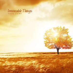 อัลบัม Irrevocable Things ศิลปิน Soul Cube