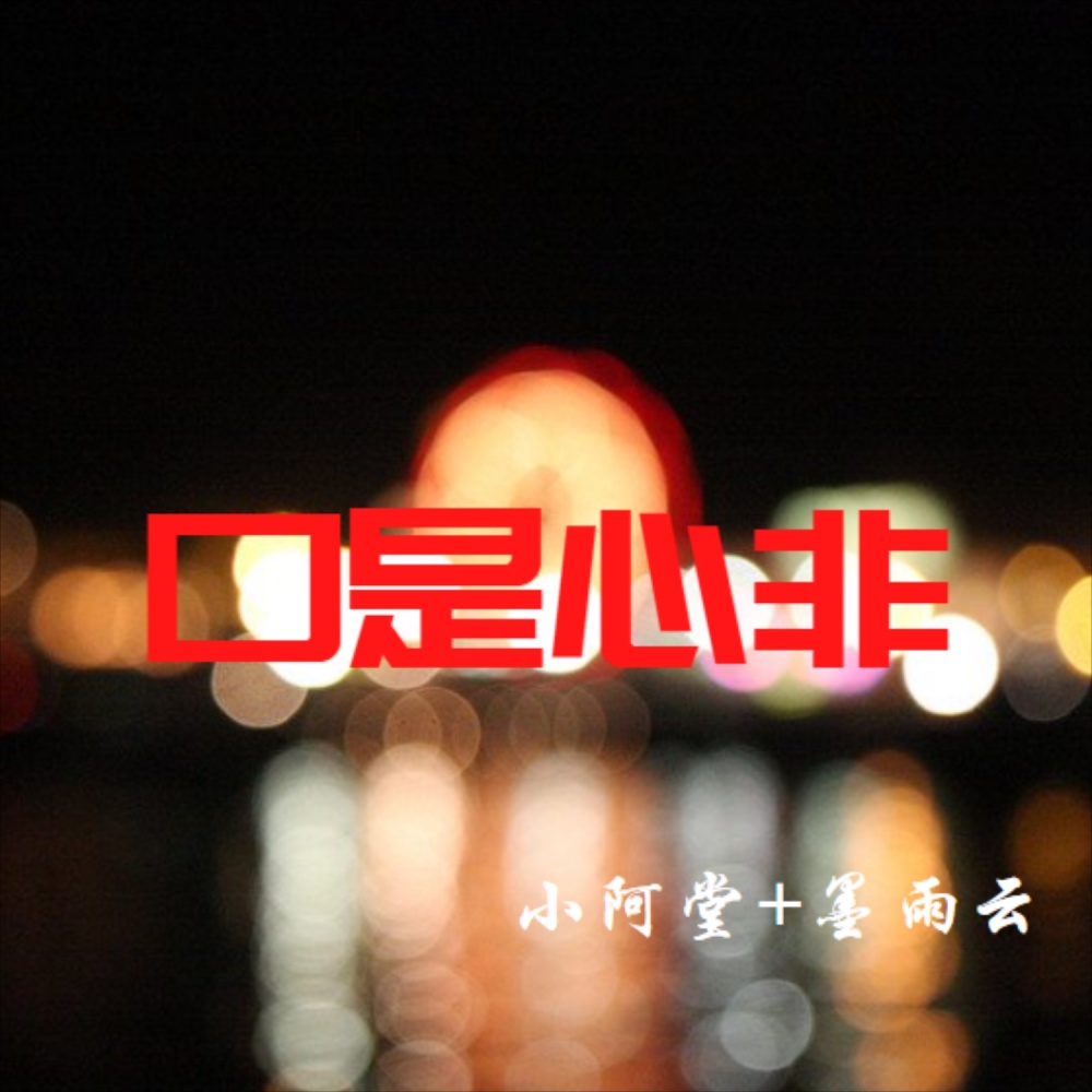 口是心非（DJ）