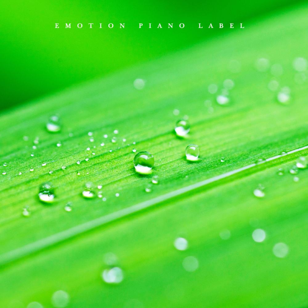 In the rain