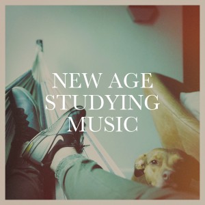 New Age Relaxation的專輯New Age Studying Music