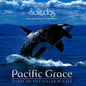 ดาวน์โหลดและฟังเพลง Still Waters พร้อมเนื้อเพลงจาก Dan Gibson's Solitudes
