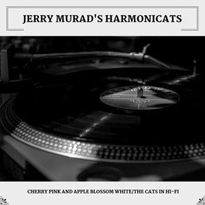 ดาวน์โหลดและฟังเพลง (I'm In Heaven When I See You Smile) Diane พร้อมเนื้อเพลงจาก Jerry Murad's Harmonicats