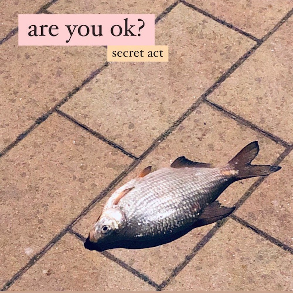 are you ok?