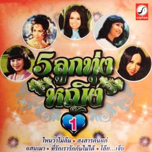 ดาวน์โหลดและฟังเพลง คนดื้อ พร้อมเนื้อเพลงจาก เตือนใจ บุญพระรักษา