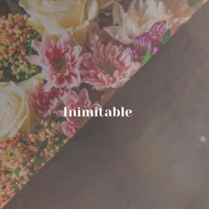 Listen to Grommet song with lyrics from Netta Delly