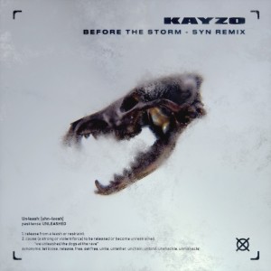 Before The Storm (SYN Remix) dari Blessthefall