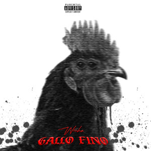 Album Gallo Fino (Explicit) from Wicho