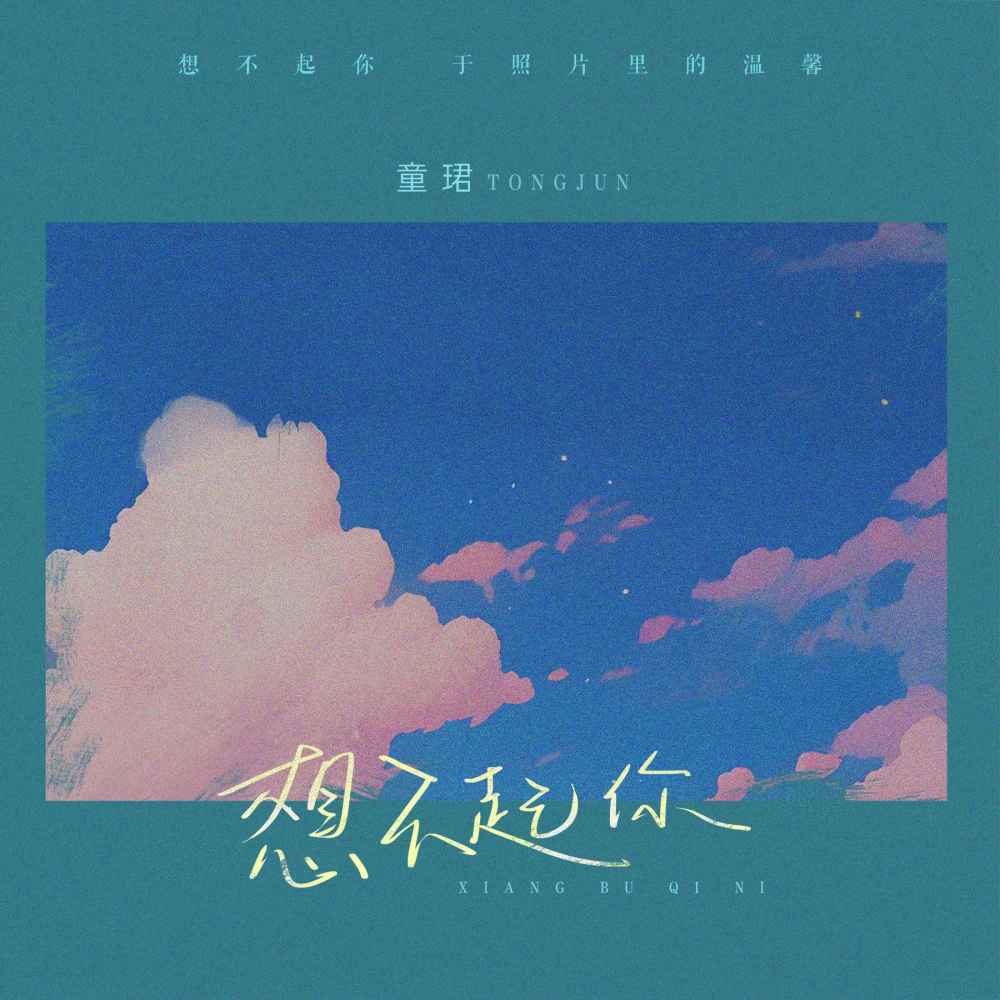 想不起你 (伴奏)