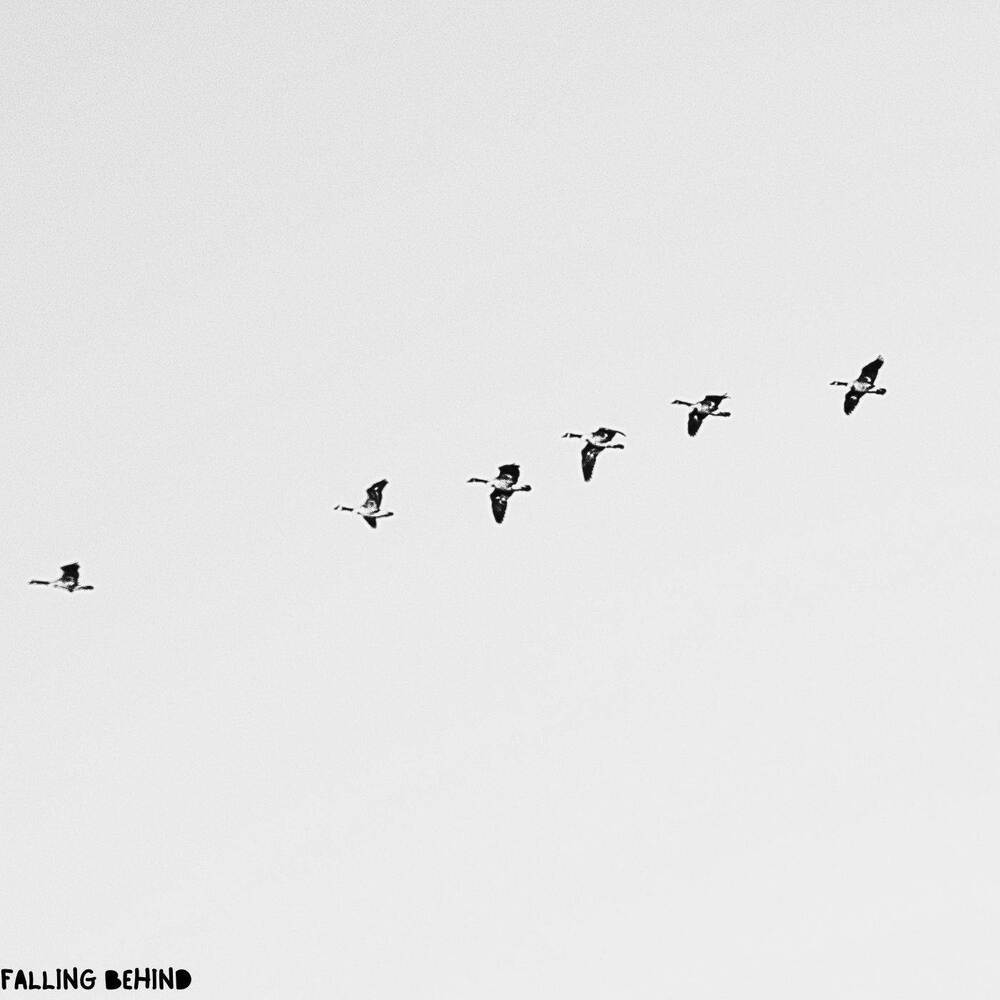 Falling Behind