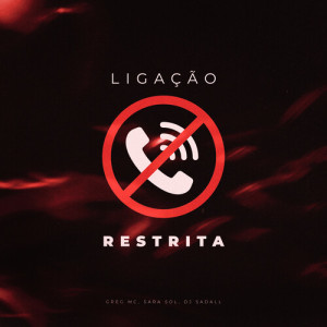 Album Ligação Restrita (Explicit) from DJ Sadall