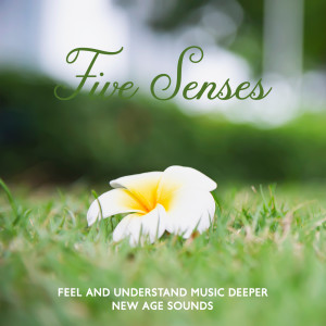 Listen to Hear Birdsong song with lyrics from Autogenic Training Music Ensemble