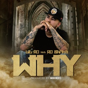 ดาวน์โหลดและฟังเพลง Why (Explicit) พร้อมเนื้อเพลงจาก Lil Ro
