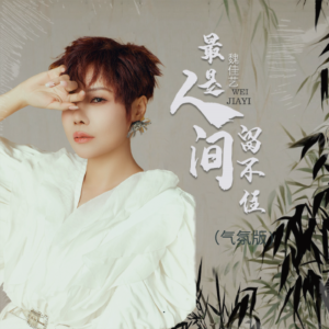 Album 最是人间留不住（气氛版 from 魏佳艺