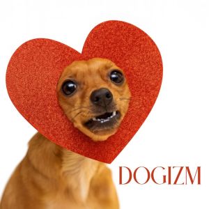 Pet Music Academy的专辑Dogizm