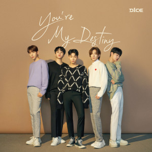 Album You're My Destiny oleh 디원스