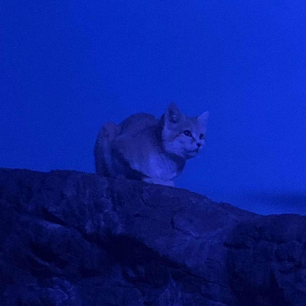 monologue (Explicit)