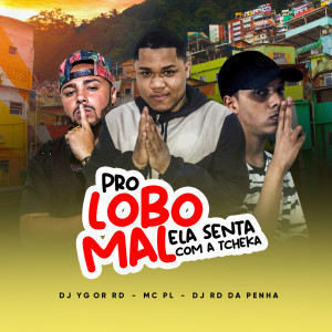 Listen to MC PL -  PRO LOBO MAL ELA SENTA COM A TCHEKA (Explicit) song with lyrics from mc pl alves