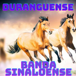 Patrulla 81的專輯Duranguense, Banda Sinaloense
