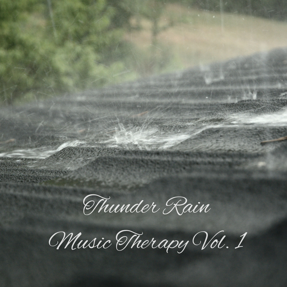 Meditate with Nature Rain Sound