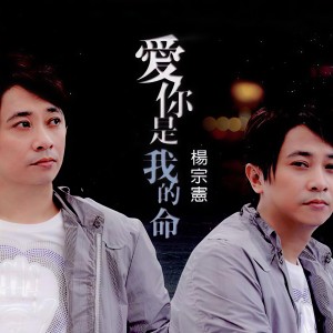 ดาวน์โหลดและฟังเพลง 流浪的人 พร้อมเนื้อเพลงจาก 杨宗宪