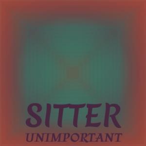 Sitter Unimportant dari Various