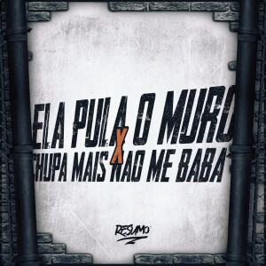 Resumo Produtora的专辑Ela Pula O Muro X Chupa Mais Não Me Bada (Explicit)