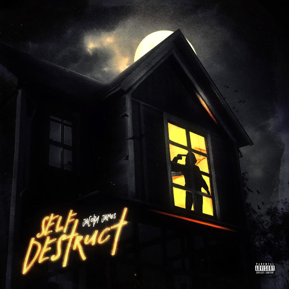 NO HOOK (feat. Spitta) (Explicit)