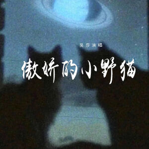 Album 傲娇的小野猫 from 